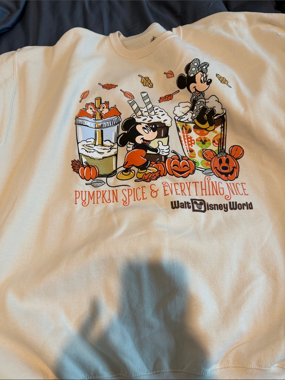 Disney Cream Pumpkin Spice & Everything Nice Crewneck Sweatshirt